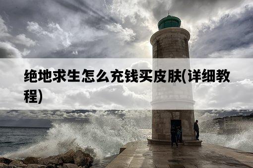 絕地求生怎么充錢買皮膚，詳細教程-圖1