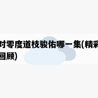 絕對零度道枝駿佑哪一集，精彩劇情回顧-圖1