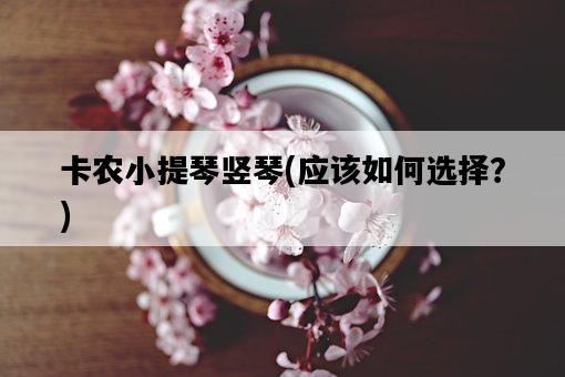 卡農小提琴豎琴，應該如何選擇？-圖1