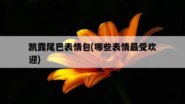 凱露尾巴表情包，哪些表情最受歡迎-圖1
