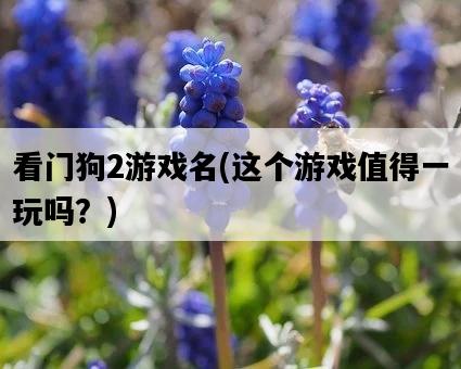看門狗2游戲名，這個游戲值得一玩嗎？-圖1