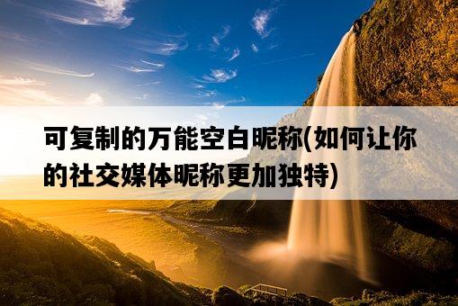 可復制的萬能空白昵稱，如何讓你的社交媒體昵稱更加獨特-圖1