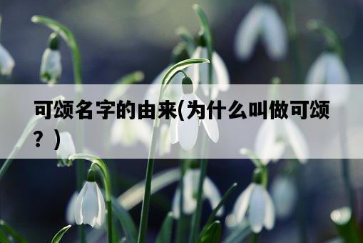 可頌名字的由來，為什么叫做可頌？-圖1