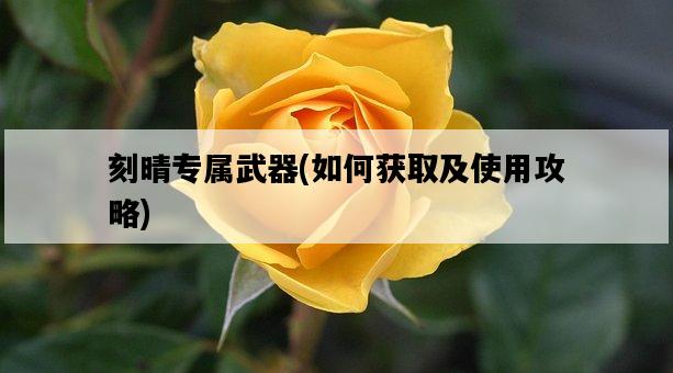 刻晴專屬武器，如何獲取及使用攻略-圖1