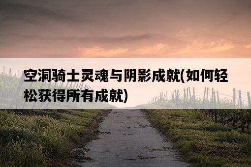空洞騎士靈魂與陰影成就，如何輕松獲得所有成就-圖1