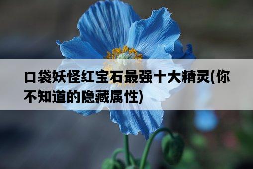 口袋妖怪紅寶石最強十大精靈，你不知道的隱藏屬性-圖1