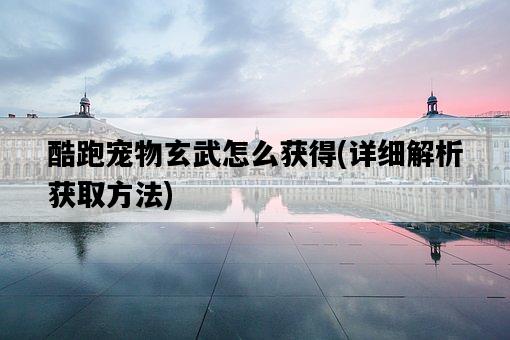 酷跑寵物玄武怎么獲得，詳細解析獲取方法-圖1