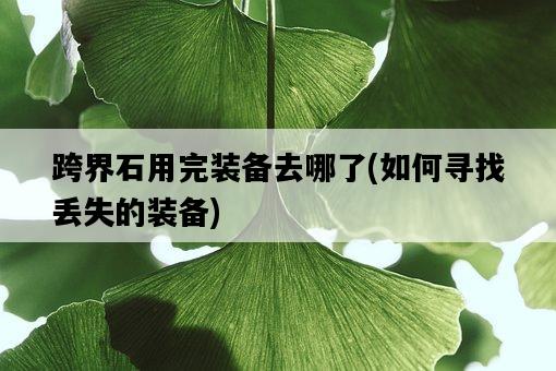 跨界石用完裝備去哪了，如何尋找丟失的裝備-圖1