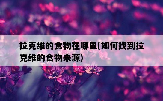 拉克維的食物在哪里，如何找到拉克維的食物來源-圖1