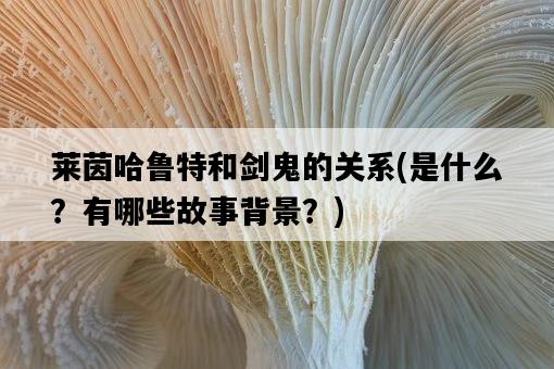 萊茵哈魯特和劍鬼的關系，是什么？有哪些故事背景？-圖1