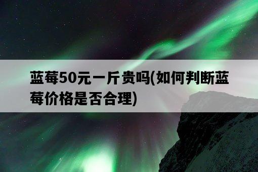 藍莓50元一斤貴嗎，如何判斷藍莓價格是否合理-圖1