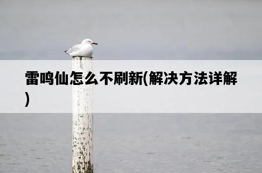 雷鳴仙怎么不刷新，解決方法詳解-圖1