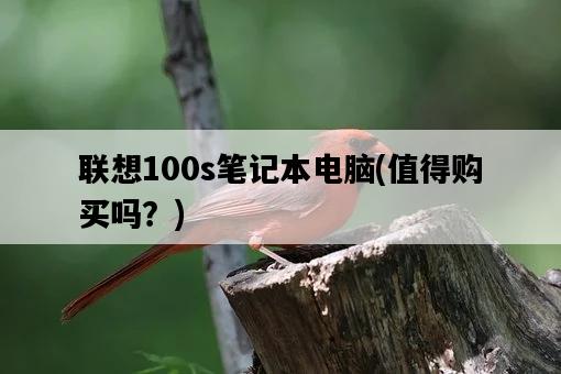 聯想100s筆記本電腦，值得購買嗎？-圖1