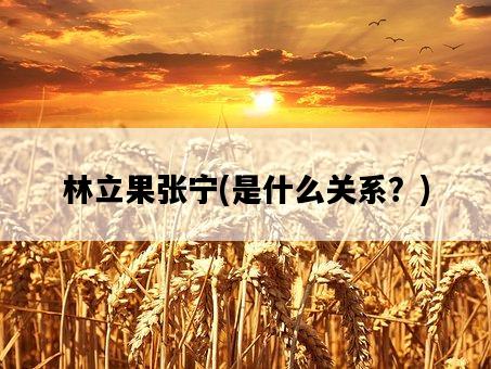 林立果張寧，是什么關系？-圖1