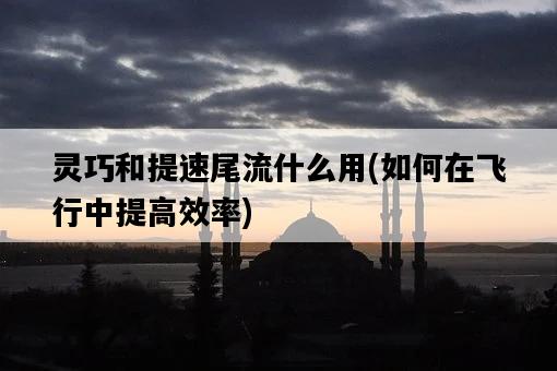 靈巧和提速尾流什么用，如何在飛行中提高效率-圖1