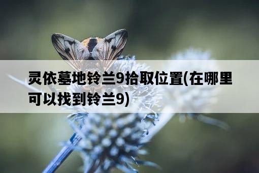 靈依墓地鈴蘭9拾取位置，在哪里可以找到鈴蘭9-圖1