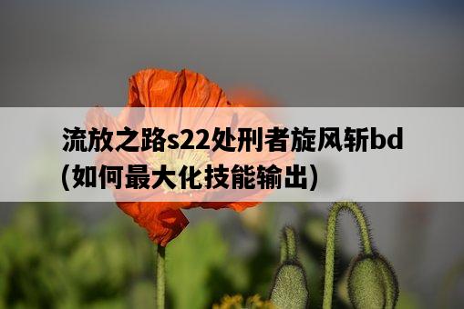 流放之路s22處刑者旋風斬bd，如何最大化技能輸出-圖1