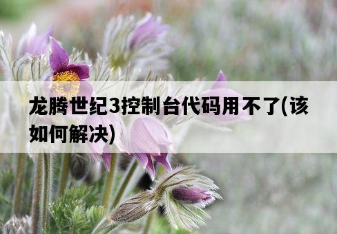 龍騰世紀3控制臺代碼用不了，該如何解決-圖1