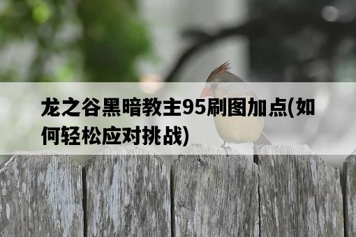 龍之谷黑暗教主95刷圖加點，如何輕松應對挑戰-圖1