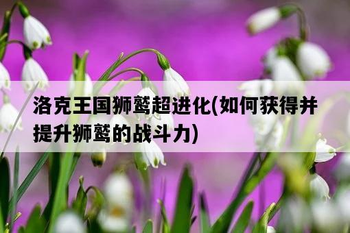 洛克王國獅鷲超進化，如何獲得并提升獅鷲的戰斗力-圖1