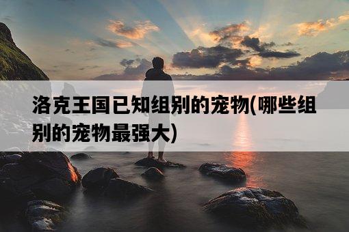 洛克王國已知組別的寵物，哪些組別的寵物最強大-圖1