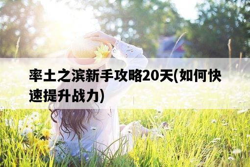 率土之濱新手攻略20天，如何快速提升戰力-圖1