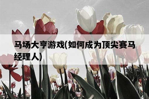 馬場大亨游戲，如何成為頂尖賽馬經理人-圖1