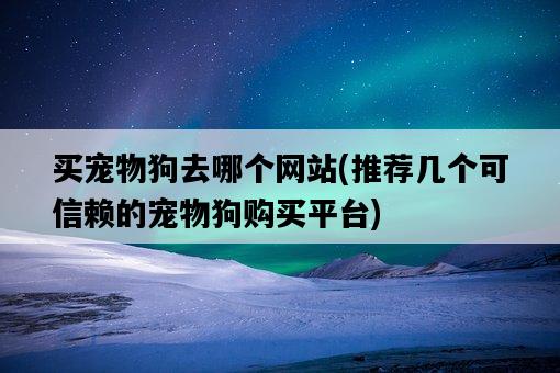 買寵物狗去哪個網站，推薦幾個可信賴的寵物狗購買平臺-圖1