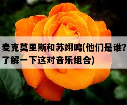 麥克莫里斯和蘇翊鳴，他們是誰？了解一下這對音樂組合-圖1