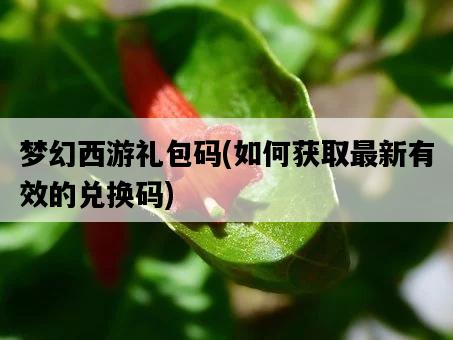 夢幻西游禮包碼，如何獲取最新有效的兌換碼-圖1