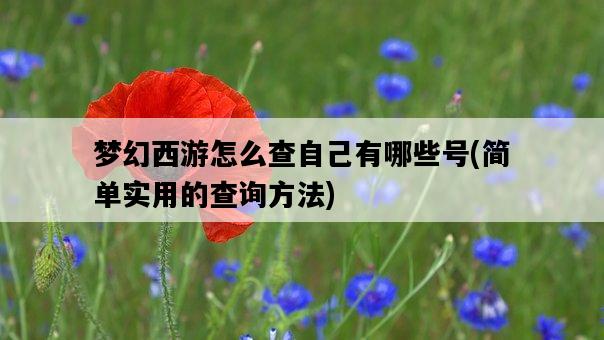 夢幻西游怎么查自己有哪些號，簡單實用的查詢方法-圖1