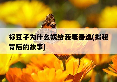 禰豆子為什么嫁給我妻善逸，揭秘背后的故事-圖1