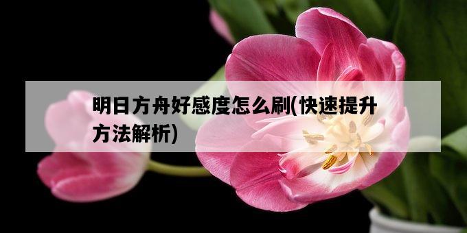 明日方舟好感度怎么刷，快速提升方法解析-圖1