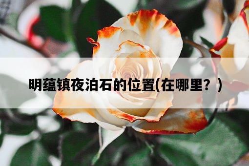 明蘊鎮夜泊石的位置，在哪里？-圖1