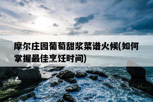 摩爾莊園葡萄甜漿菜譜火候，如何掌握最佳烹飪時間-圖1