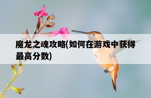 魔龍之魂攻略，如何在游戲中獲得最高分數-圖1
