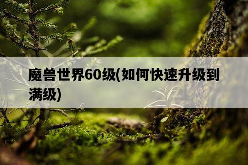 魔獸世界60級，如何快速升級到滿級-圖1