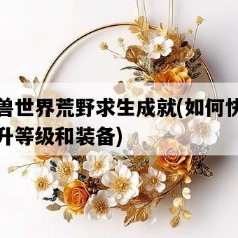 魔獸世界荒野求生成就，如何快速提升等級和裝備-圖1