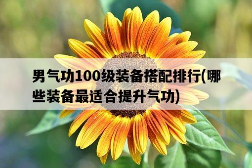 男氣功100級裝備搭配排行，哪些裝備最適合提升氣功-圖1