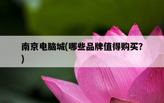 南京電腦城，哪些品牌值得購買？-圖1