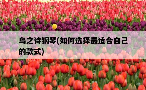 鳥之詩鋼琴，如何選擇最適合自己的款式-圖1
