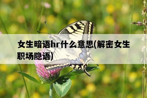 女生暗語hr什么意思，解密女生職場隱語-圖1