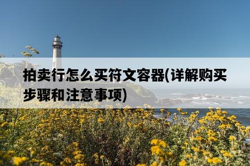 拍賣行怎么買符文容器，詳解購買步驟和注意事項-圖1
