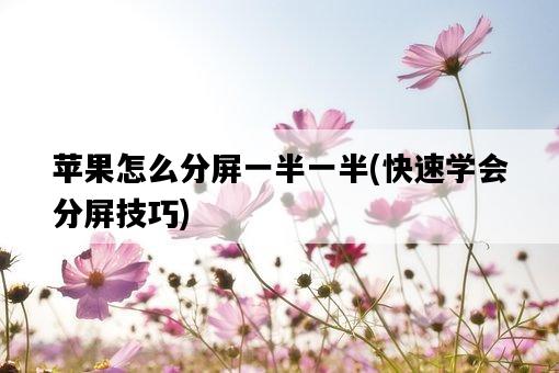 蘋果怎么分屏一半一半，快速學會分屏技巧-圖1