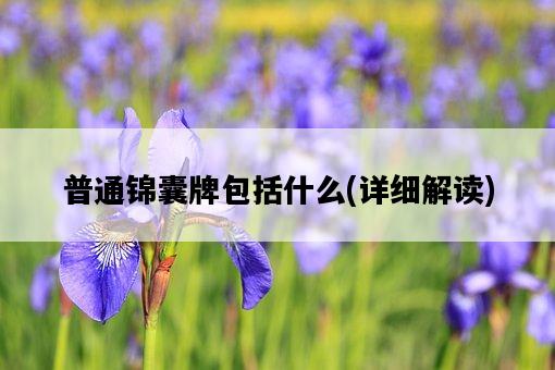 普通錦囊牌包括什么，詳細解讀-圖1