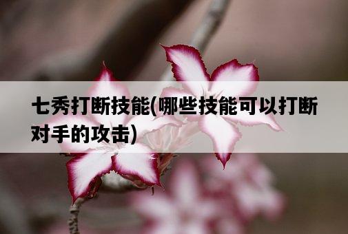 七秀打斷技能，哪些技能可以打斷對手的攻擊-圖1