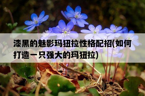 漆黑的魅影瑪狃拉性格配招，如何打造一只強大的瑪狃拉-圖1