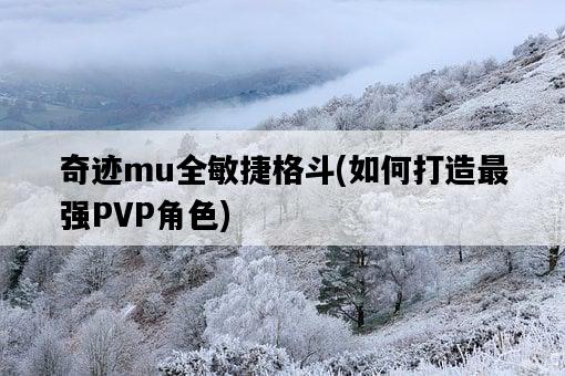 奇跡mu全敏捷格斗，如何打造最強PVP角色-圖1
