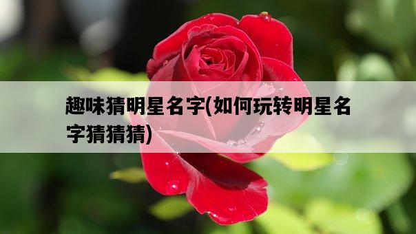 趣味猜明星名字，如何玩轉明星名字猜猜猜-圖1