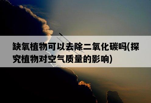 缺氧植物可以去除二氧化碳嗎，探究植物對空氣質量的影響-圖1